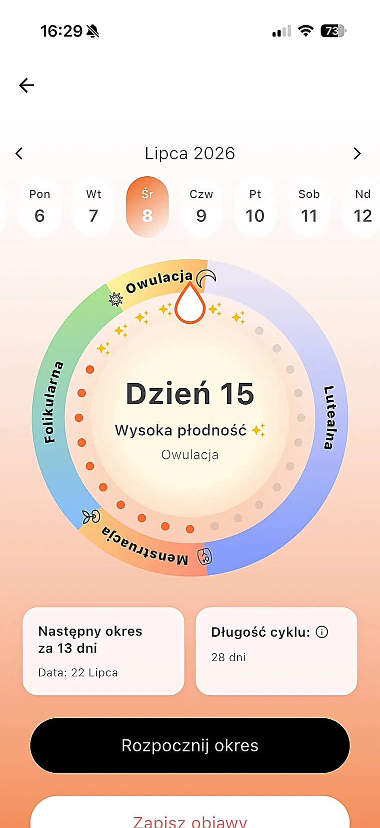 Widok orientacyjnych faz cyklu